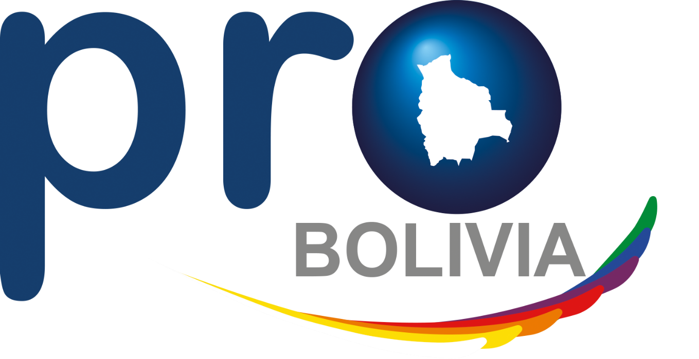 Logo Pro Bolivia
